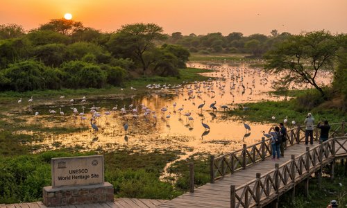 Bharatpur